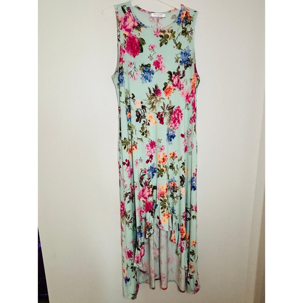 Chris & Carol Mint Floral High Low Maxi Dress XL Sleeveless Ruffle Hem D3846-1